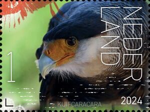 Stamp: Crested Caracara (Caracara plancus) (Netherlands(Experience