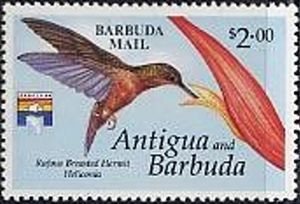 Rufous-breasted Hermit and Heliconia - Overprinted