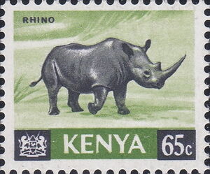 Black Rhinoceros (Diceros bicornis)