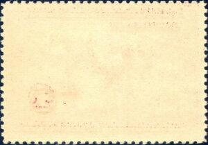 Canvasback (Aythya valisineria)