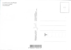 La pêche aux coquillages