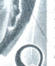 Ludwig van Beethoven (1770–1827)