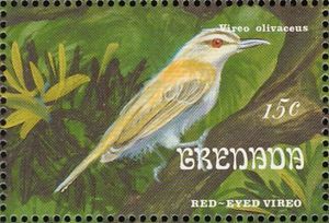 Red-eyed Vireo (Vireo olivaceus)