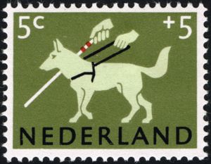 German Shepherd (Canis lupus familiaris) as Guide Dog