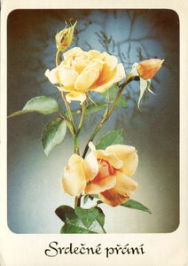 Heartfelt wishes. Roses
