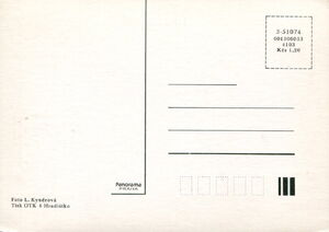 Heartfelt wishes. Roses