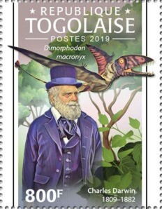 Charles Darwin (1809–1882), Dimorphodon macronyx