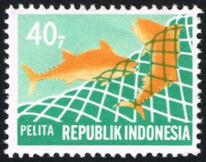 Tunas in net (“Fisheries”)