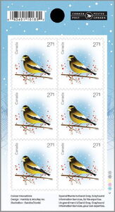 Evening Grosbeak, booklet pane