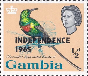 Beautiful Long-tailed Sunbird (Cinnyris pulchellus) - ovpt