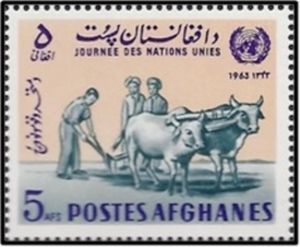 Plowing Fields, Domestic Cattle (Bos taurus)