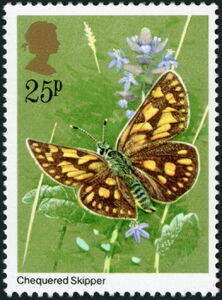 Chequered Skipper (Carterocephalus palaemon)