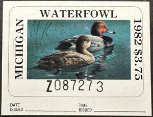 Redhead (Aythya americana)