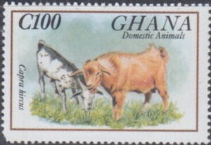 Colnect Item Picture