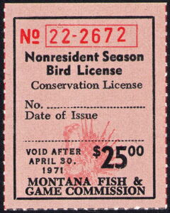 Greater sage-grouse (Centrocercus urophasianus)