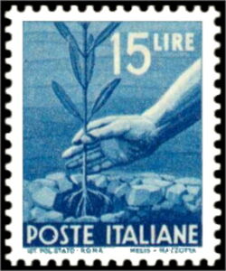 Hand Planting an Olive Tree