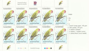 Rosy-faced Lovebird (Agapornis roseicollis)