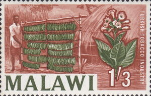 Turkish tobacco industry