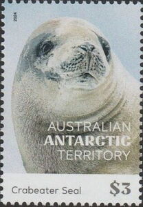 Crabeater Seal (Lobodon carcinophagus)