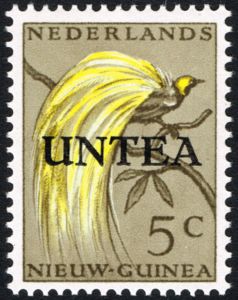 Lesser Bird-of-paradise (Paradisaea minor) - UNTEA