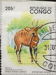 Bongo (Taurotragus eurycerus)