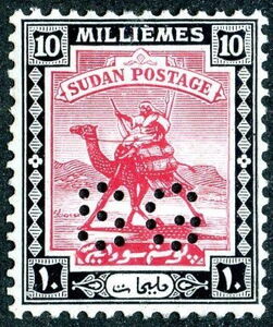 Postman with Dromedary (Camelus dromedarius)