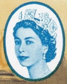 Helmeted Guineafowl (Numida meleagris)