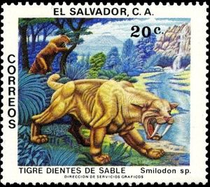 Saber-Tooth-Tiger (Smilodon sp.)