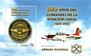 Naval Air Command, Centenary