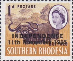 African Buffalo (Syncerus caffer) - overprinted