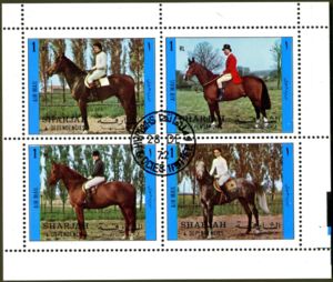 Riders on Horse (Equus ferus caballus)