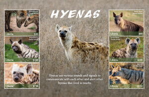 Hyenas