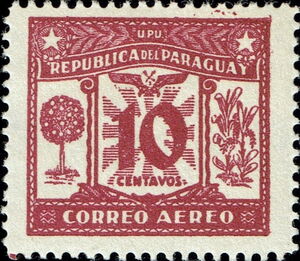 Orange tree and yerba mate