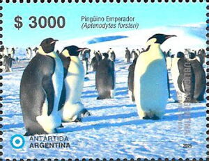 Emperor Penguin (Aptenodytes forsteri)