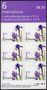 Purple Dutch Iris (Iris hollandica)