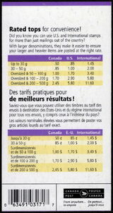 Purple Dutch Iris (Iris hollandica)