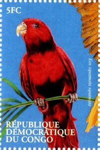 Eos squamata squamata