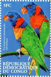 Trichoglossus haematodus rubritorquis