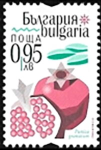 Pomegranate (Punica granatum)