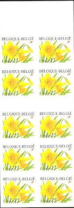 Booklet Wild Daffodil Self-adhesive