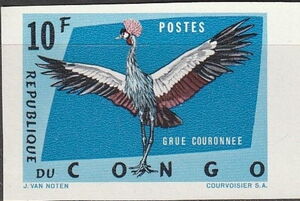 Gray Crowned Crane (Balearica regulorum)