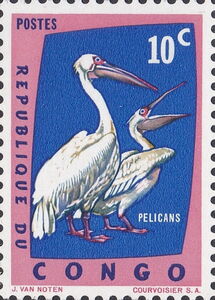 Great White Pelican (Pelecanus onocrotalus)