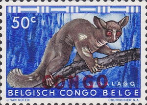 Brown Greater Galago overprinted CONGO