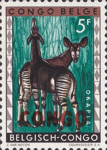 Okapi (Okapia johnstoni) overprinted CONGO