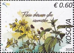 Aromatic & Theraputic Flora