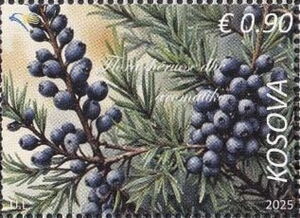 Aromatic & Theraputic Flora