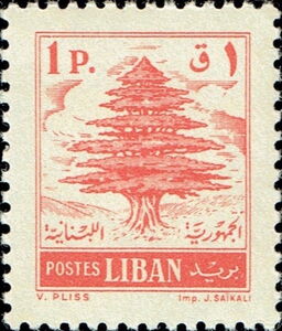 Cedar of Lebanon
