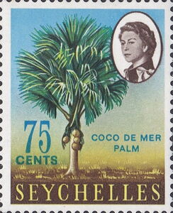 Coco de mer Palm