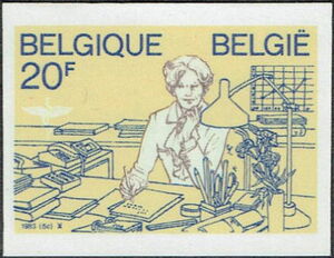 The Woman as the Head of the Company