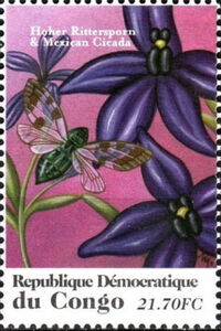 Hoher Rittersporn & Mexican Cicada